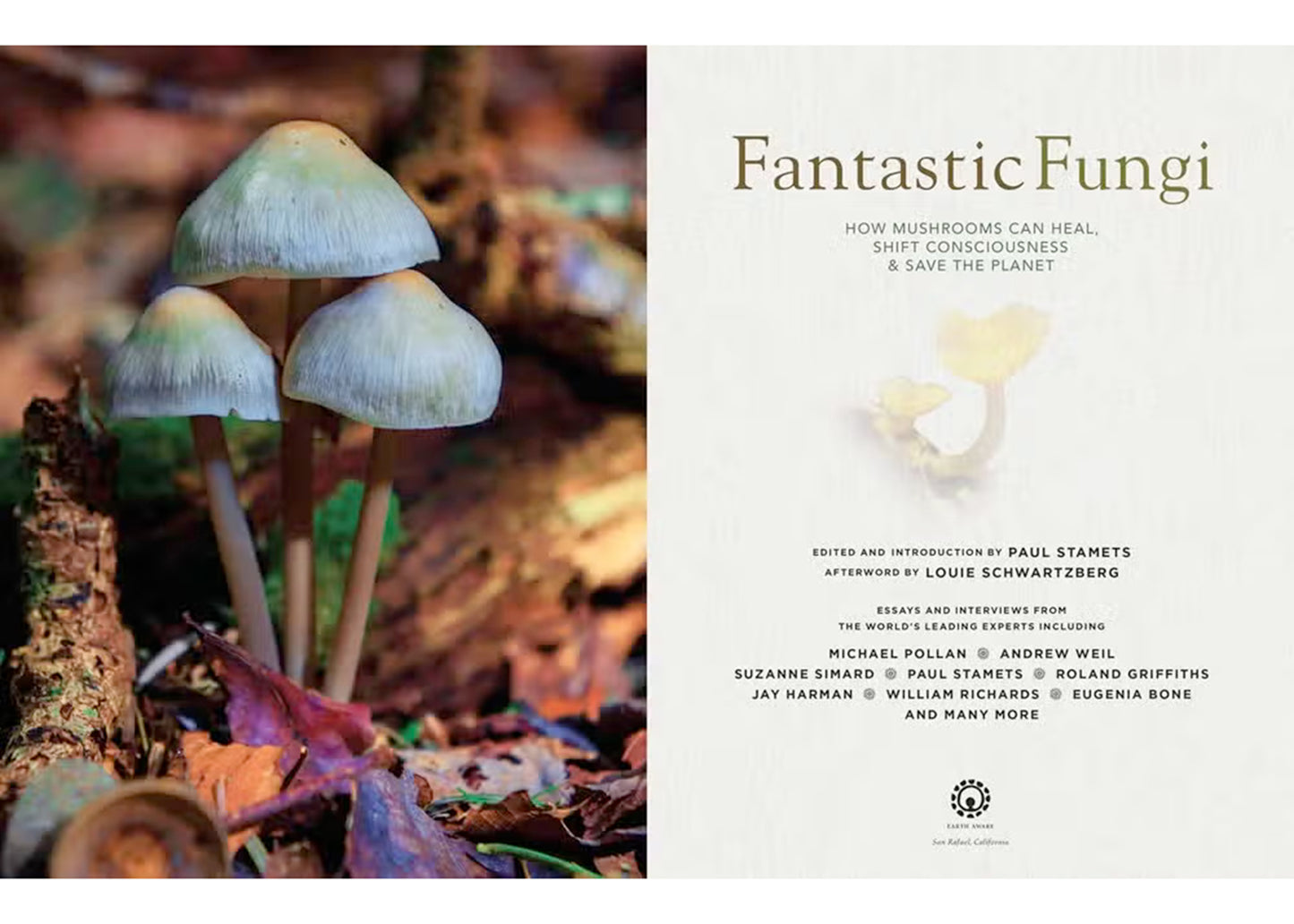 Fantastic Fungi: How Mushrooms Can Heal, Shift Consciousness, and Save the Planet