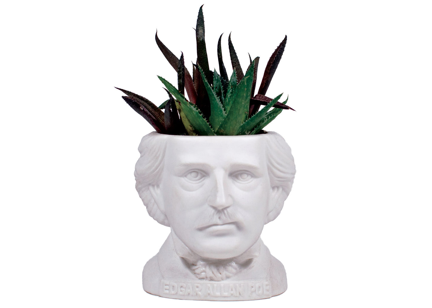 Fertile Minds Poe Planter