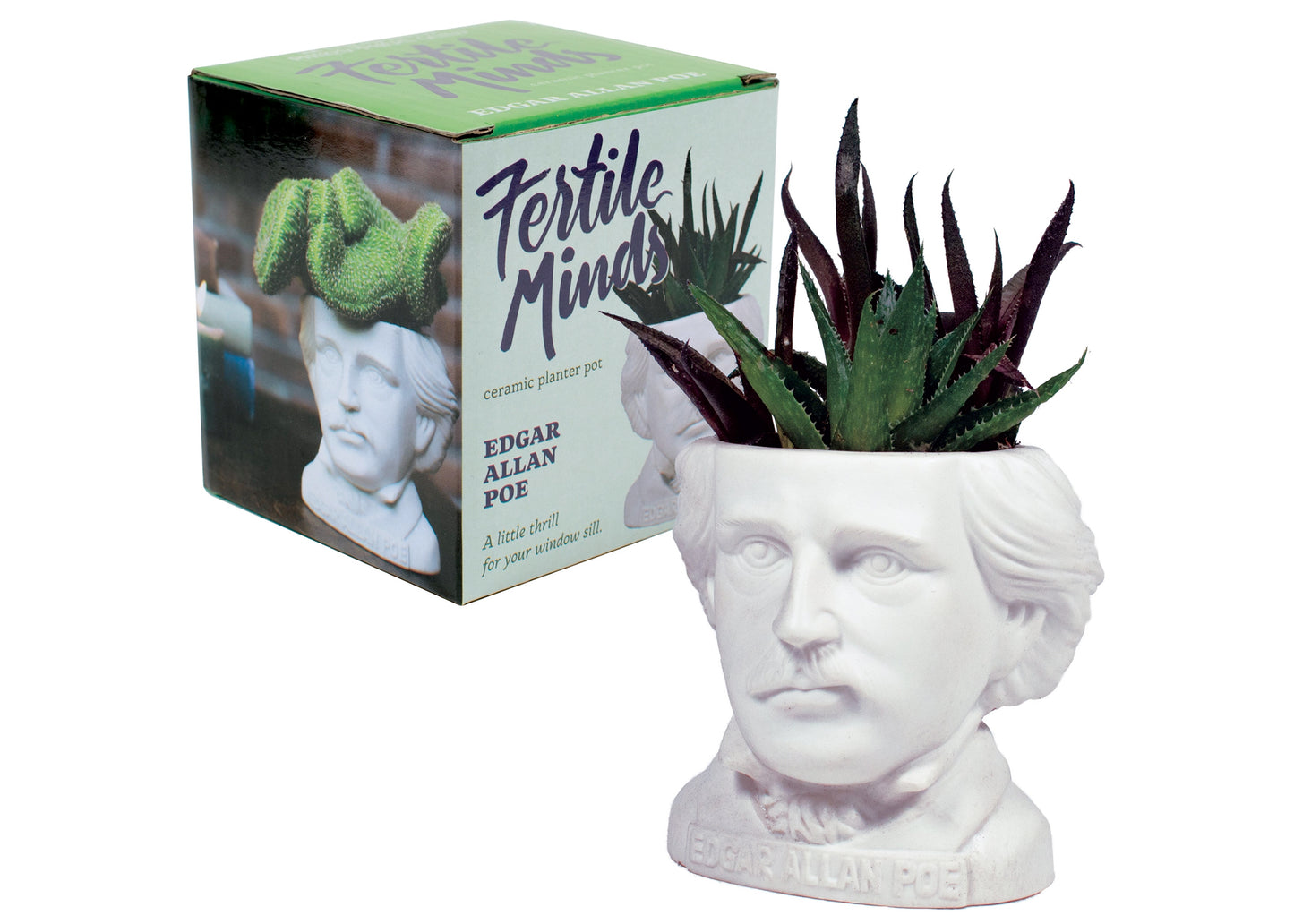 Fertile Minds Poe Planter