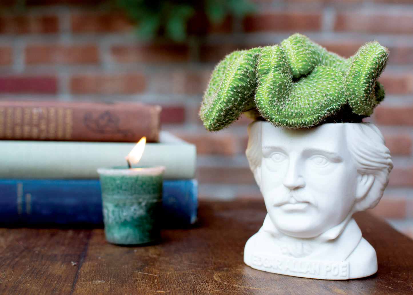 Fertile Minds Poe Planter