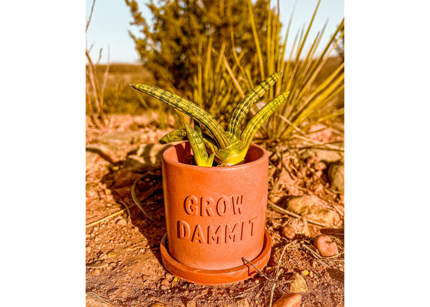 Grow Dammit Planter