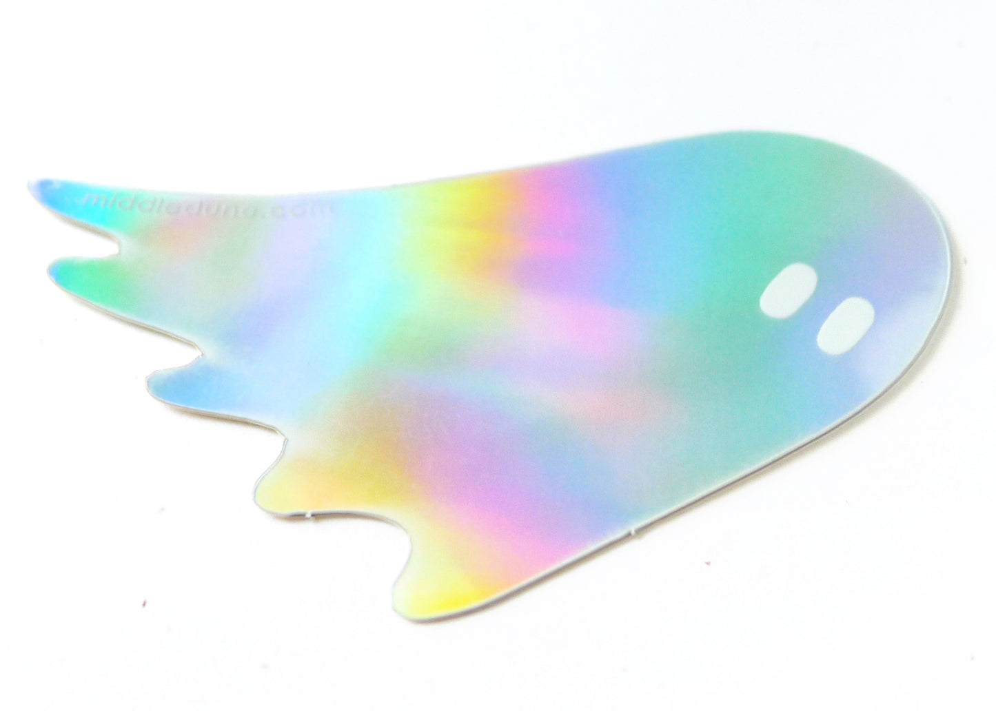 Holographic Ghost Sticker
