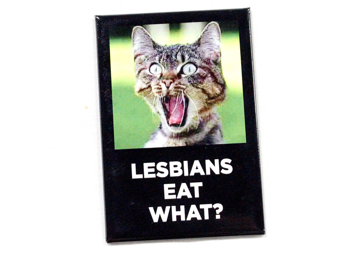 Lesbians Eat What? Magnet