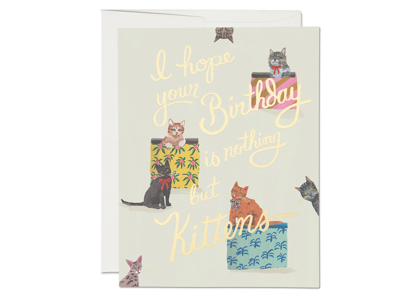 Nothing But Kittens Birthday Card