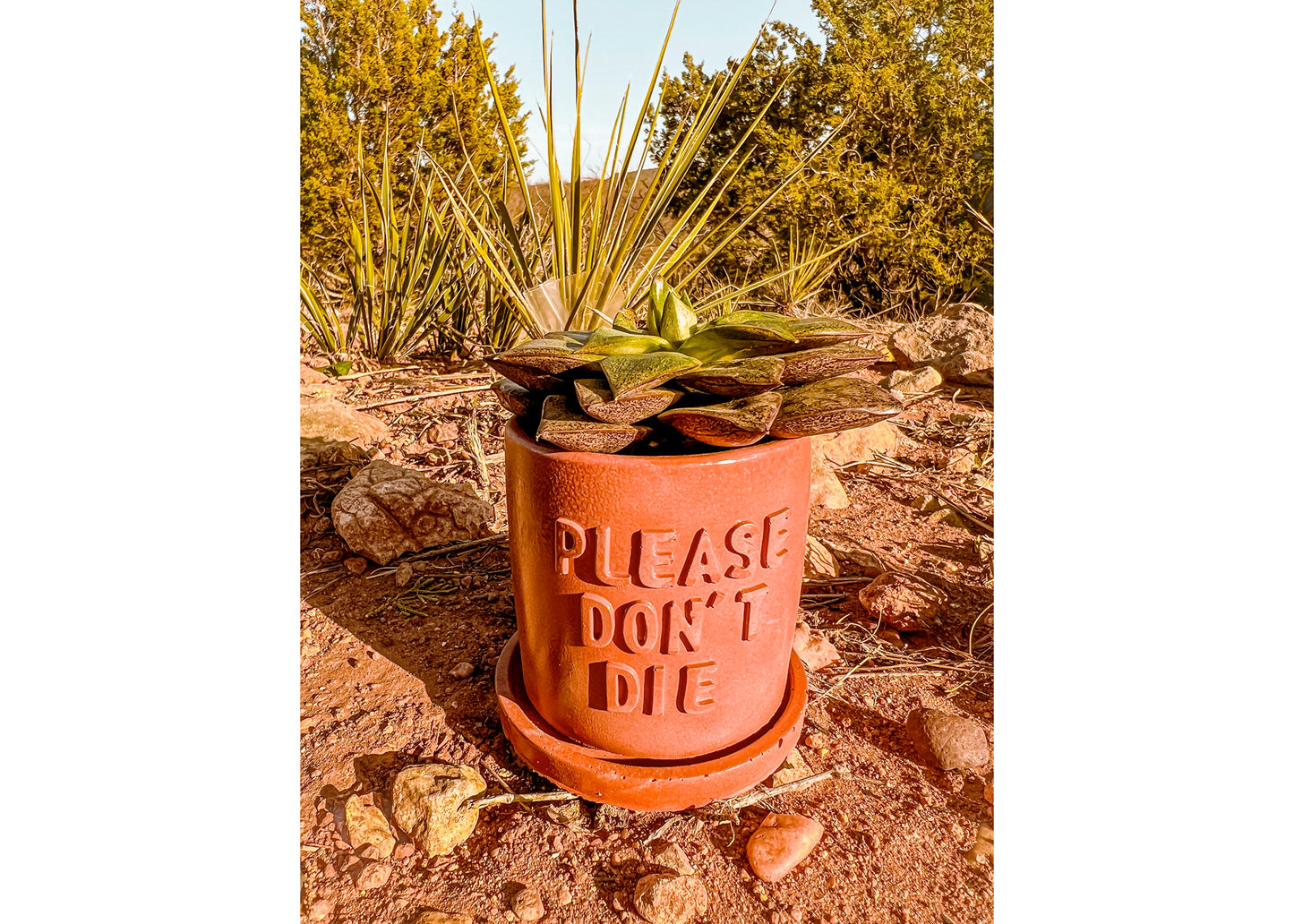 Please Don't Die Planter
