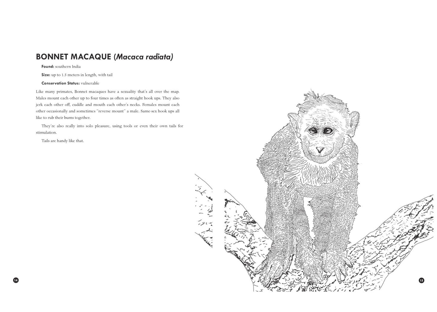 Queer Animals & Plants Coloring Book