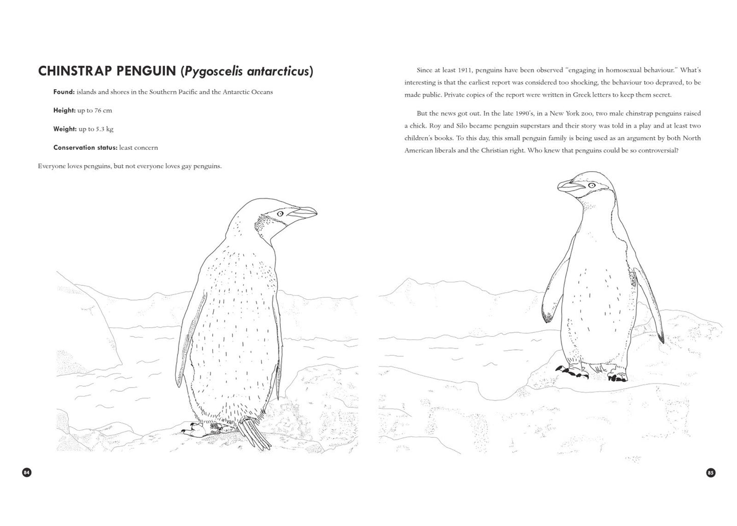 Queer Animals & Plants Coloring Book