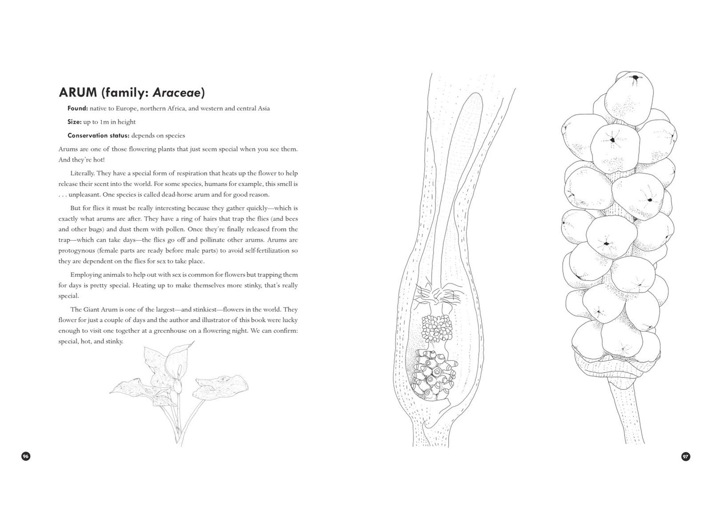 Queer Animals & Plants Coloring Book