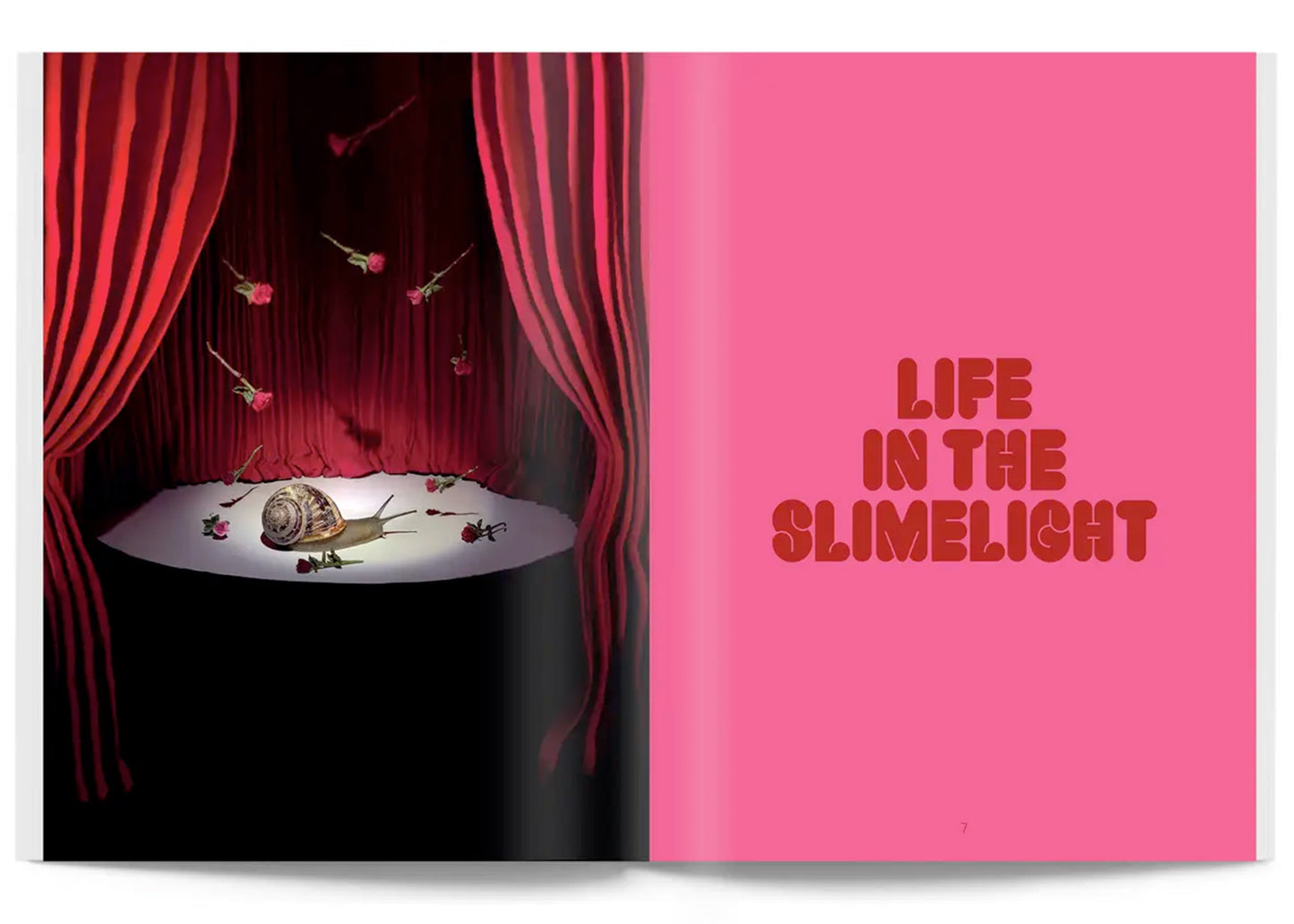 Snail World: Life in the Slimelight Book