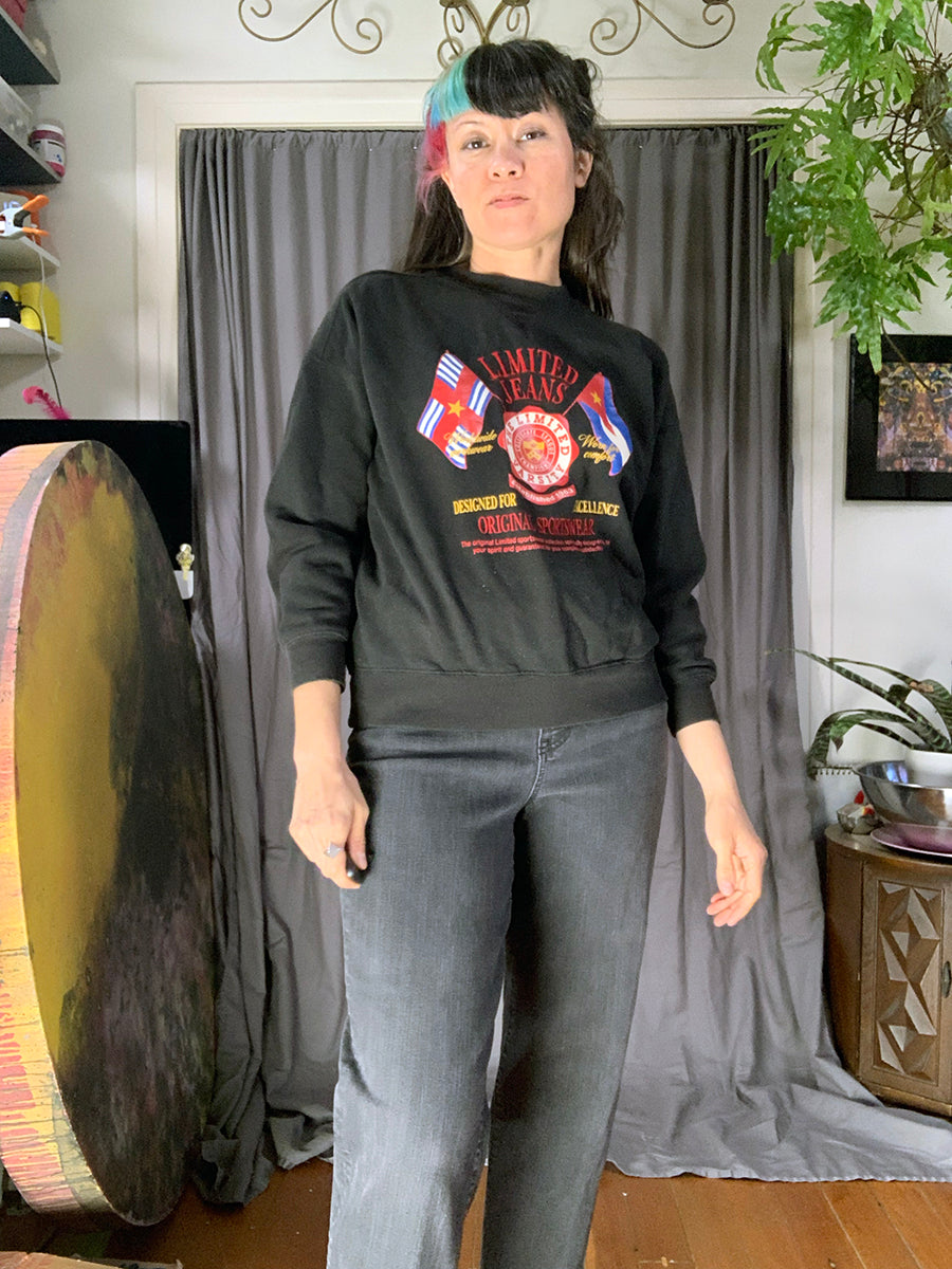 The Limited 1990s Embroidered & Printed Flags Sweatshirt