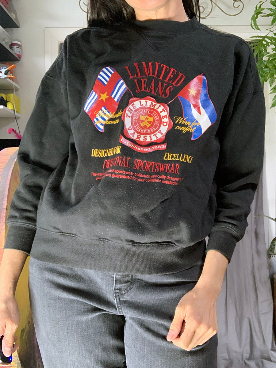 The Limited 1990s Embroidered & Printed Flags Sweatshirt