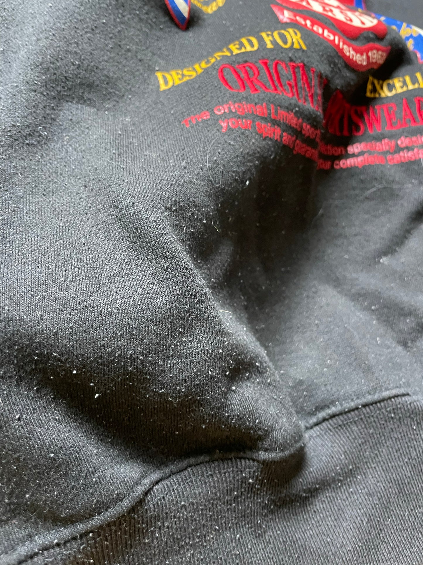 The Limited 1990s Embroidered & Printed Flags Sweatshirt