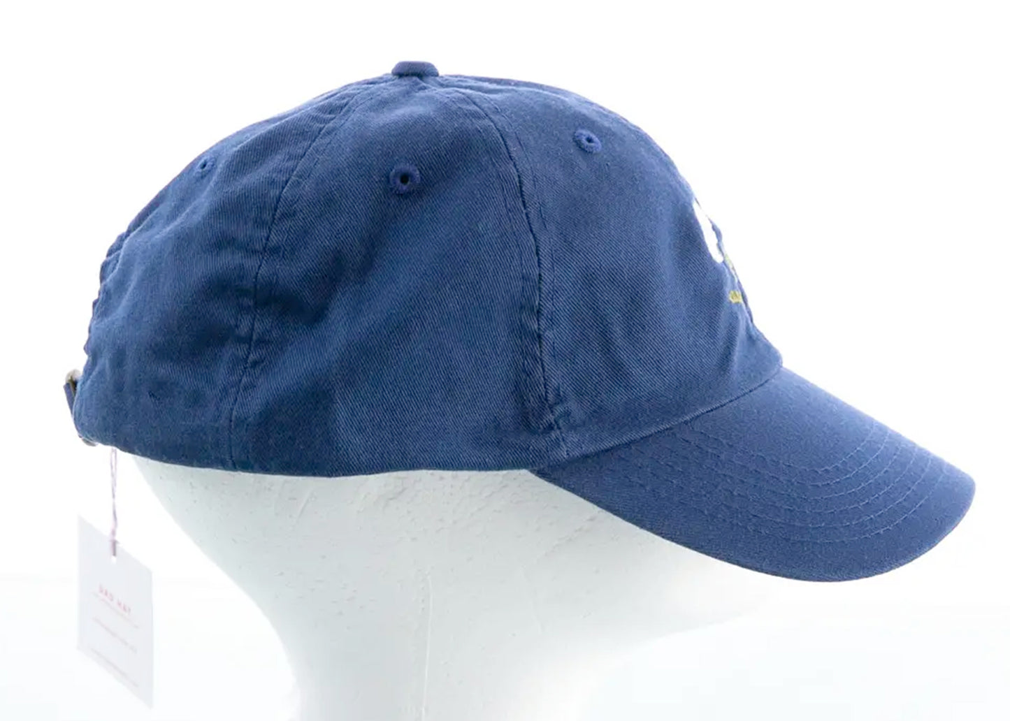 Poppy Dad Hat in Soft Blue