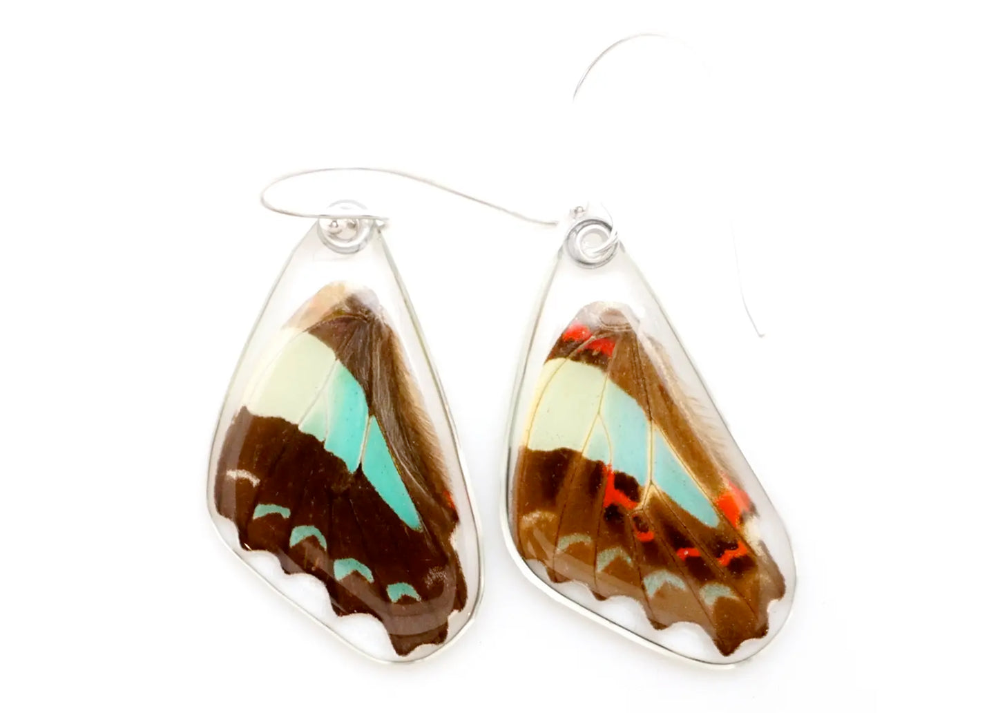 Bluebottle Butterfly Lower Wing Earrings