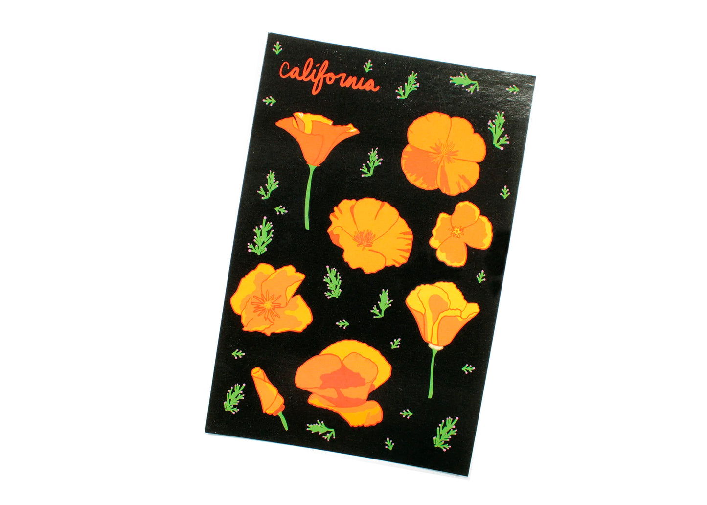 California Poppy Postcard