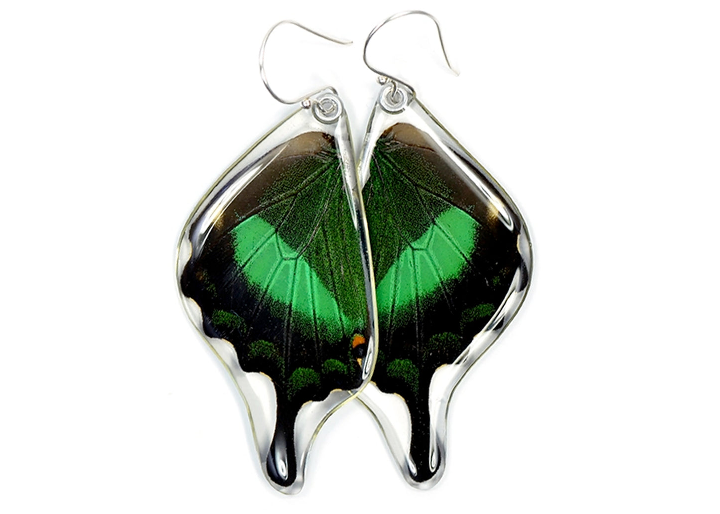 Emerald Swallowtail Butterfly Wing Earrings
