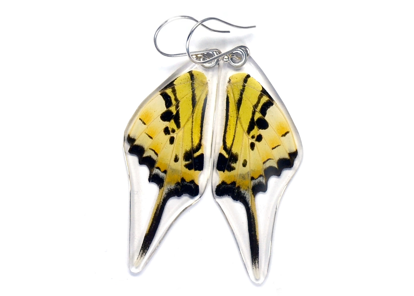 Five Bar Swallowtail Butterfly Wing Earrings