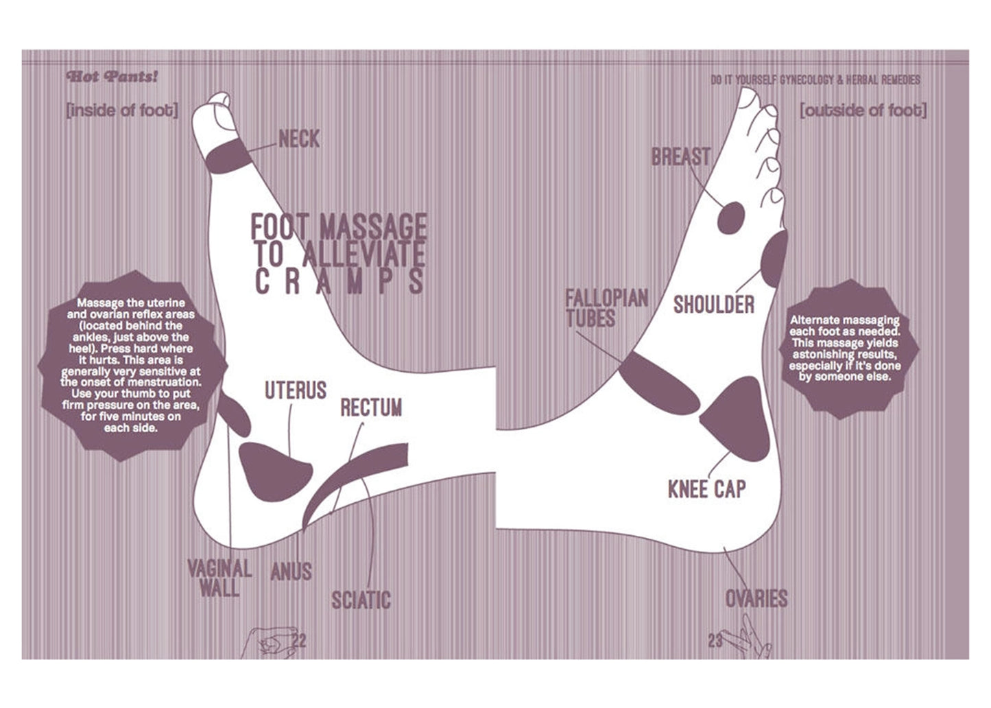 Hot Pants: Do It Yourself Gynecology Book