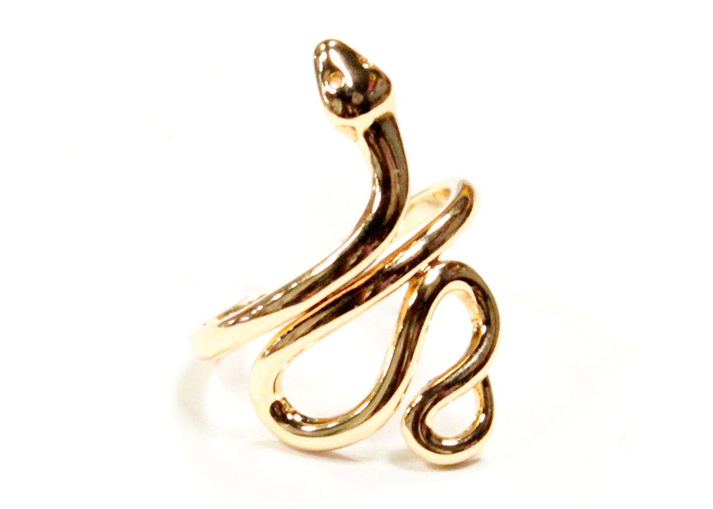 In The Garden Ring