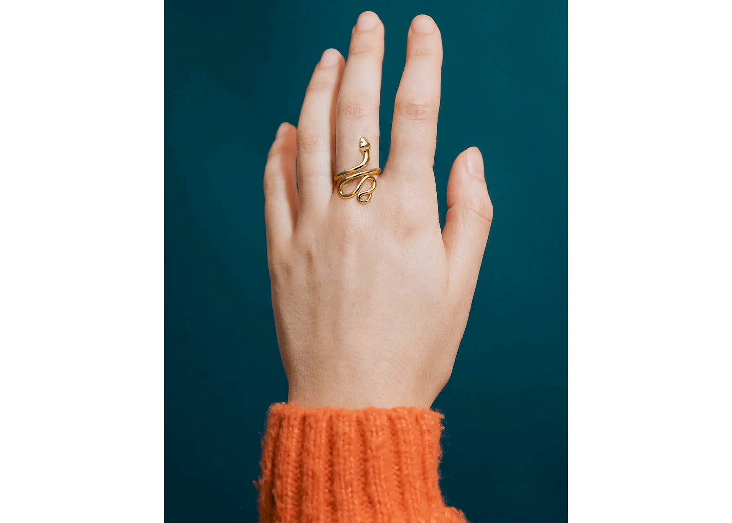 In The Garden Ring