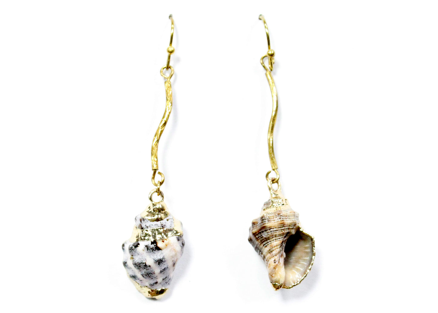 Marin Shell Earrings