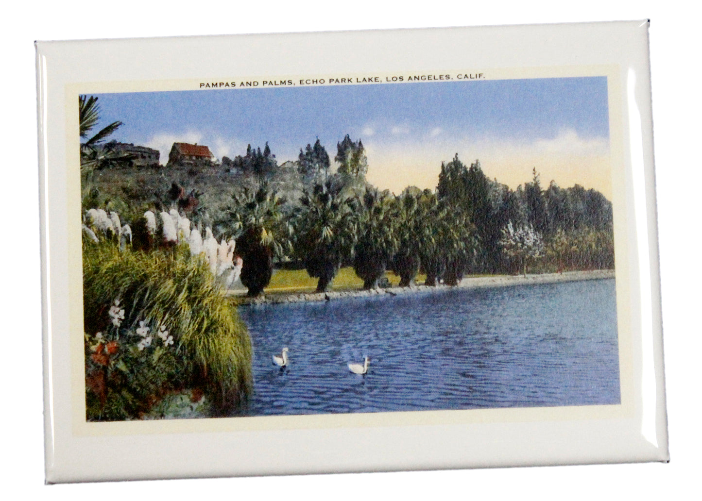 Pampas and Palms at Echo Park Lake Magnet
