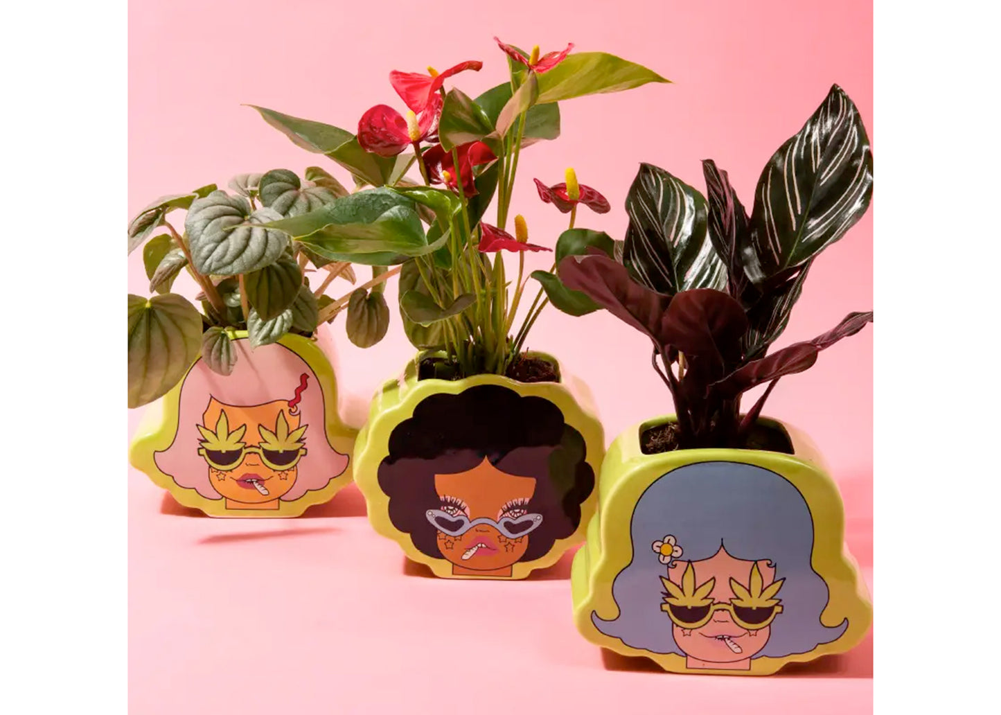 Potheads Ceramic Planter Set