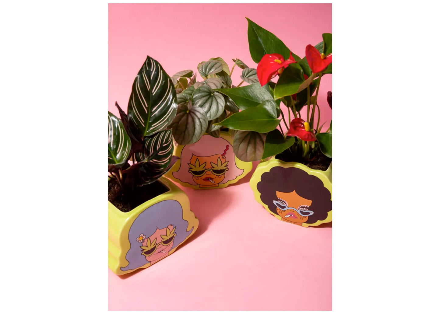 Potheads Ceramic Planter Set