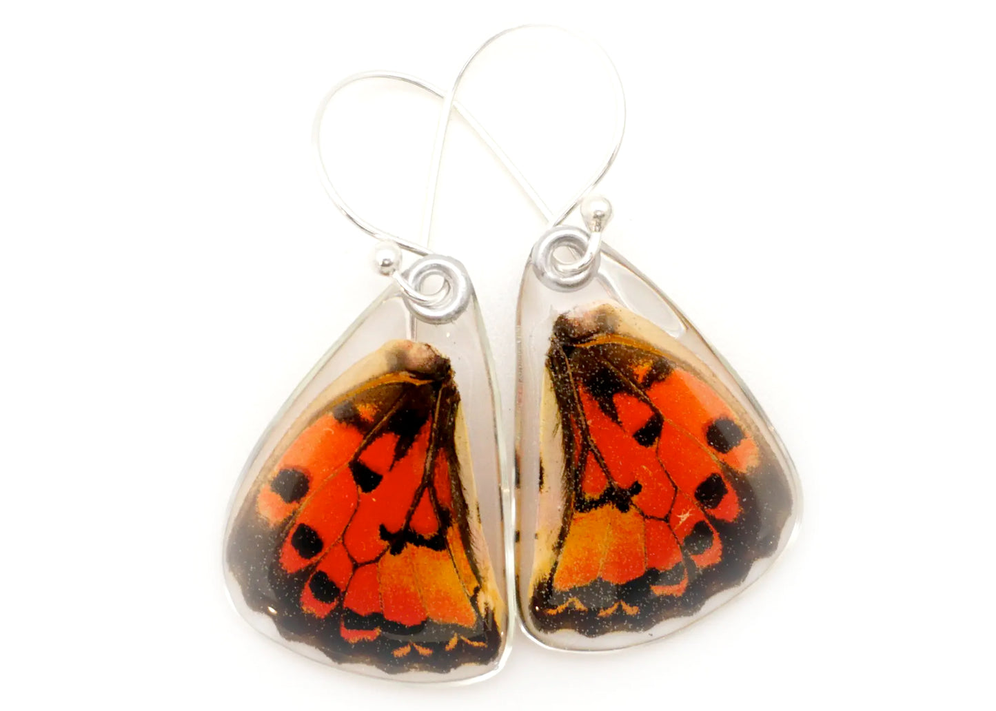 Red Spotted Graphium Lower Wing Butterfly Earrings