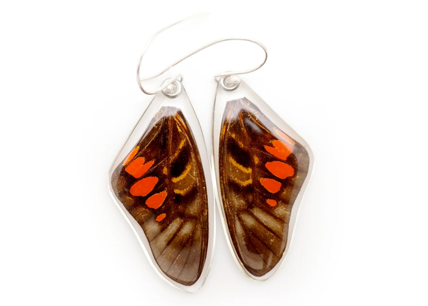 Red Spotted Graphium Upper Wing Butterfly Earrings