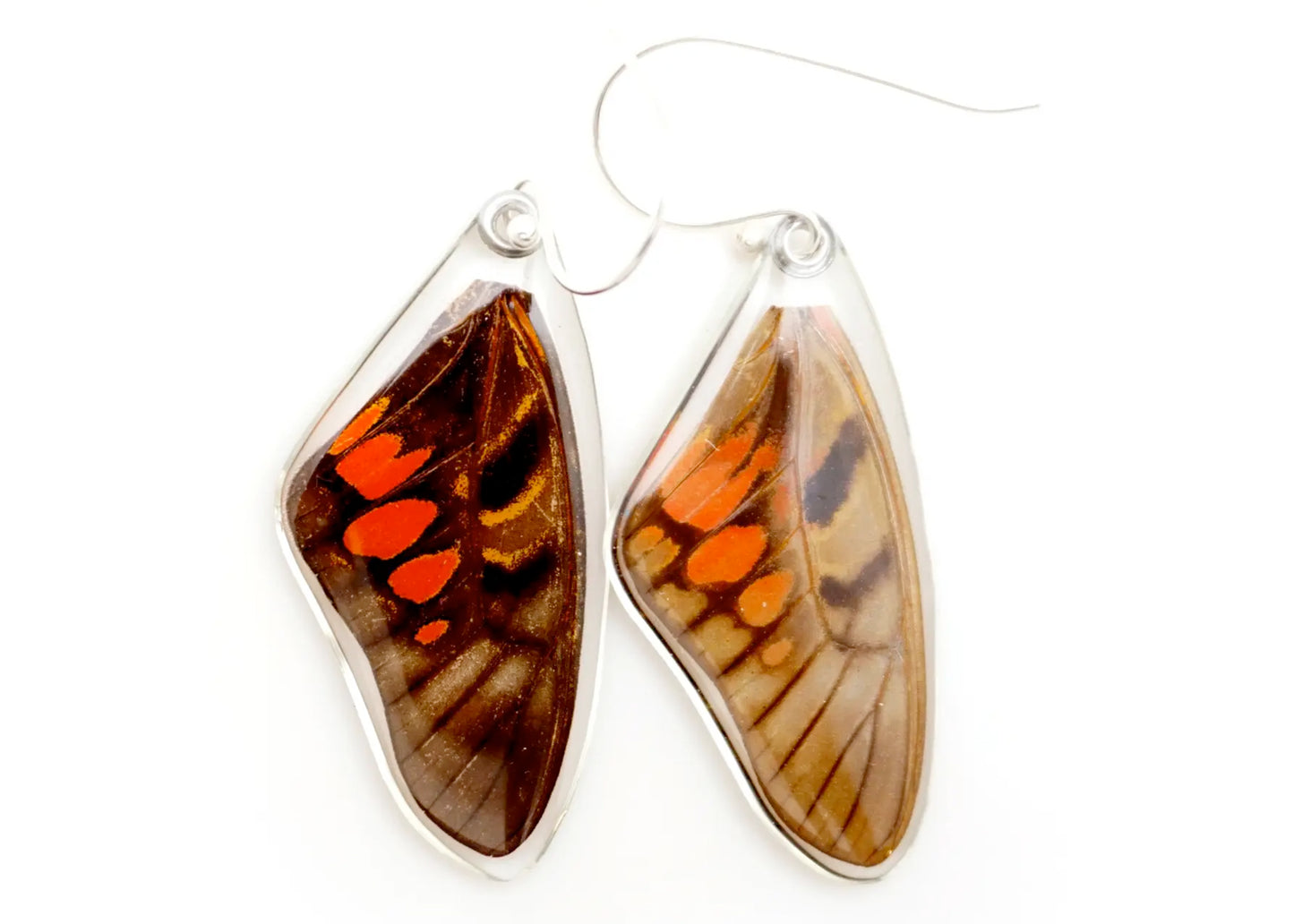Red Spotted Graphium Upper Wing Butterfly Earrings