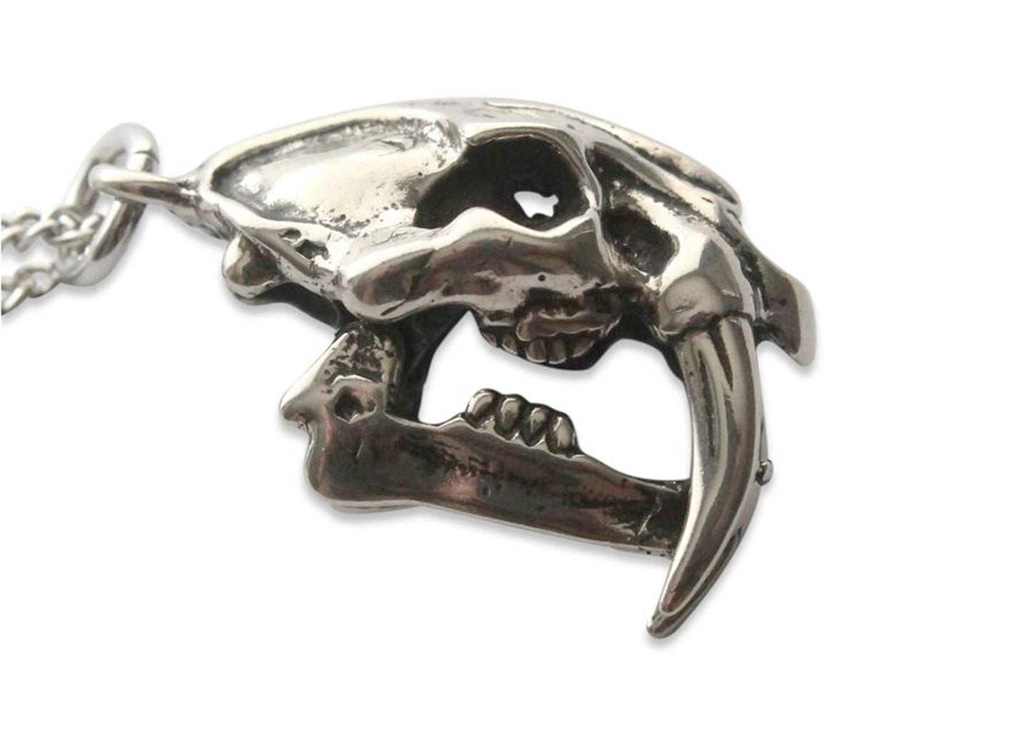 Saber Tooth Cat Skull Necklace In White Bronze