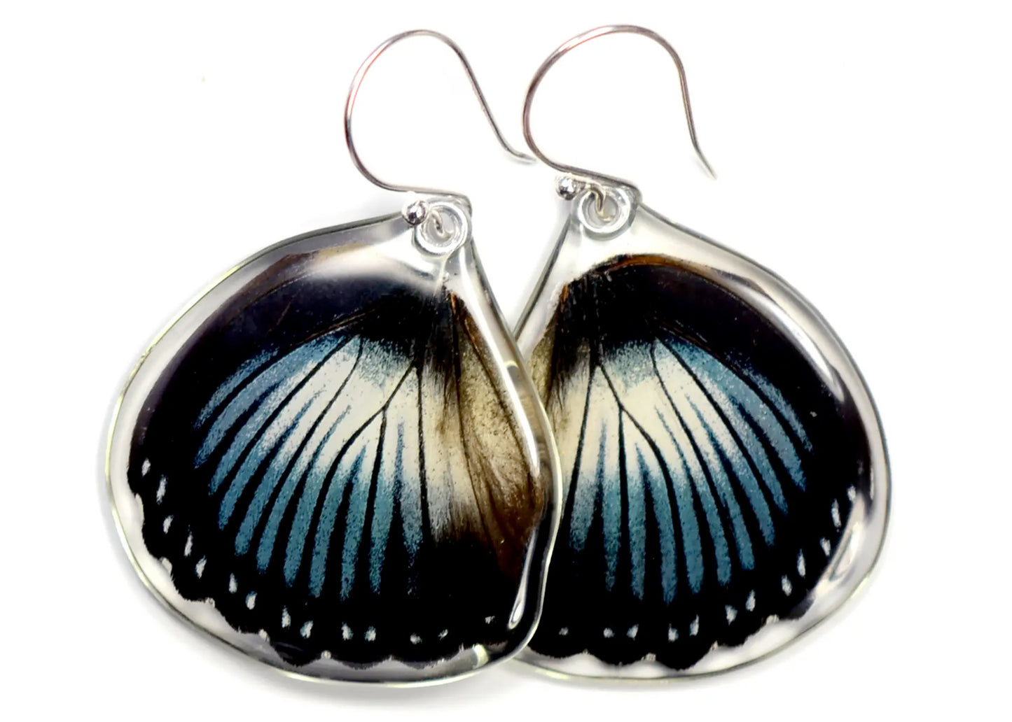 Scarce Blue Diadem Lower Wing Butterfly Earrings