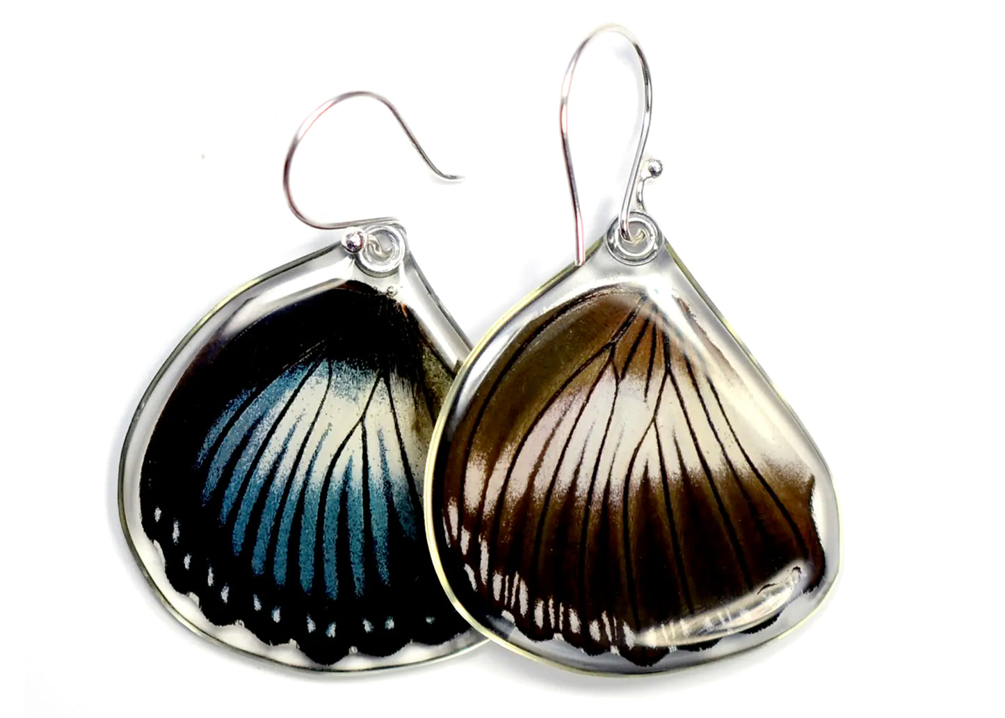 Scarce Blue Diadem Lower Wing Butterfly Earrings