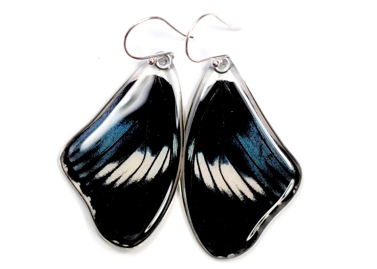 Scarce Blue Diadem Upper Wing Butterfly Earrings