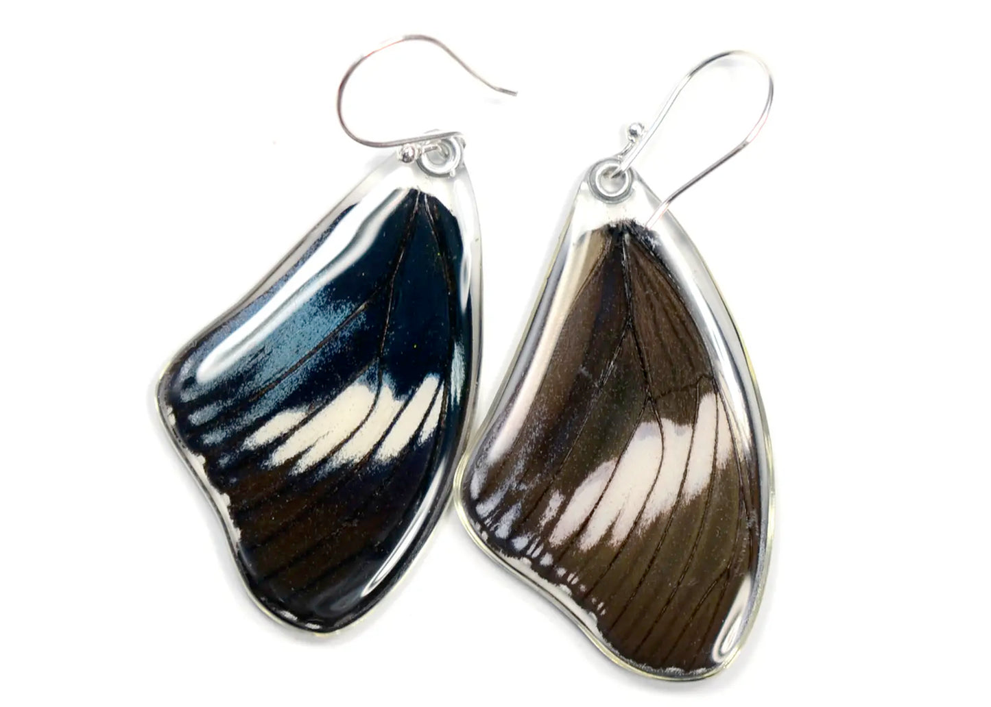 Scarce Blue Diadem Upper Wing Butterfly Earrings