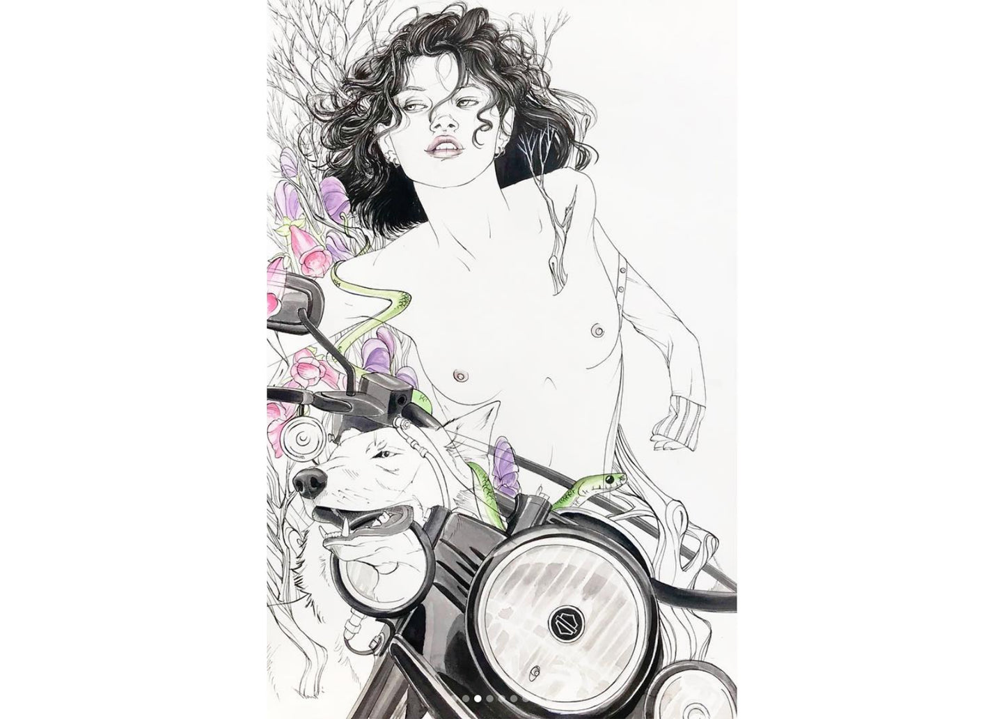 Wolfgang Art Print