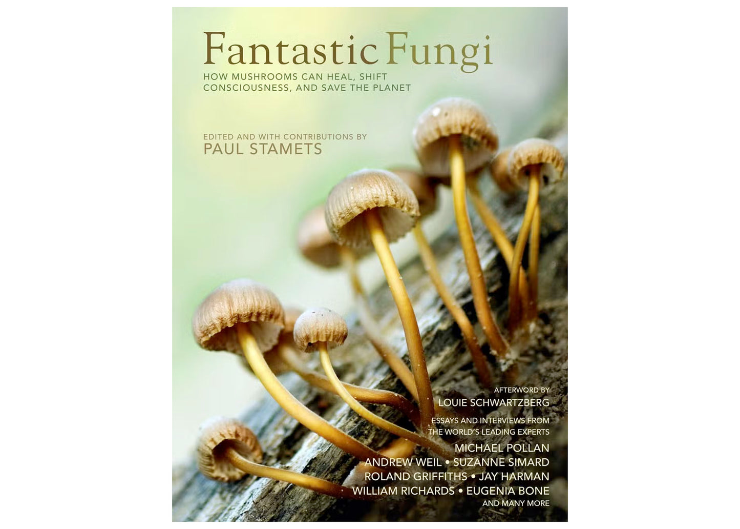 Fantastic Fungi: How Mushrooms Can Heal, Shift Consciousness, and Save the Planet