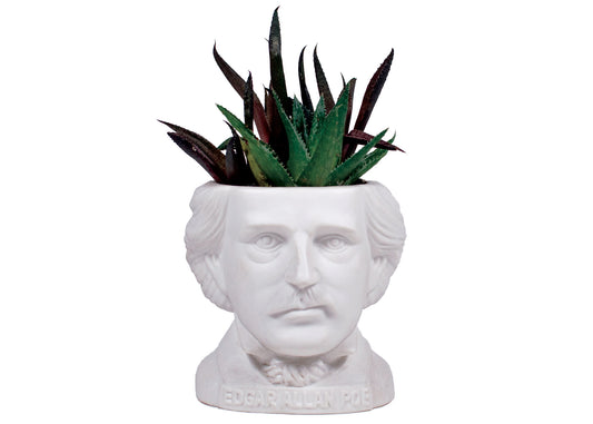 Fertile Minds Poe Planter