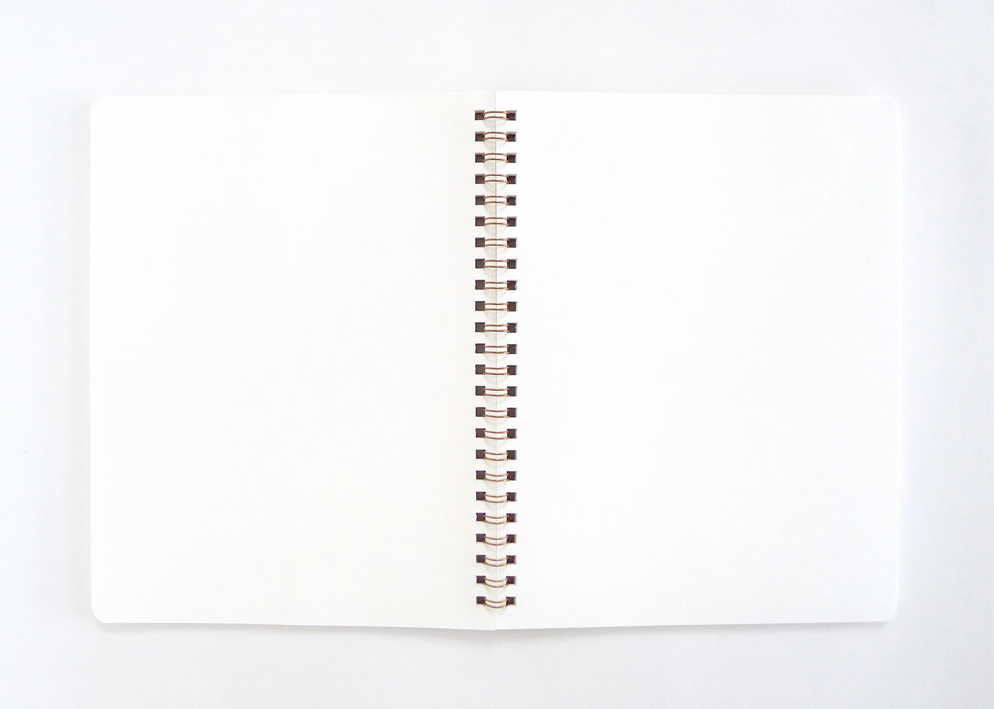Moon Phase Spiral Notebook