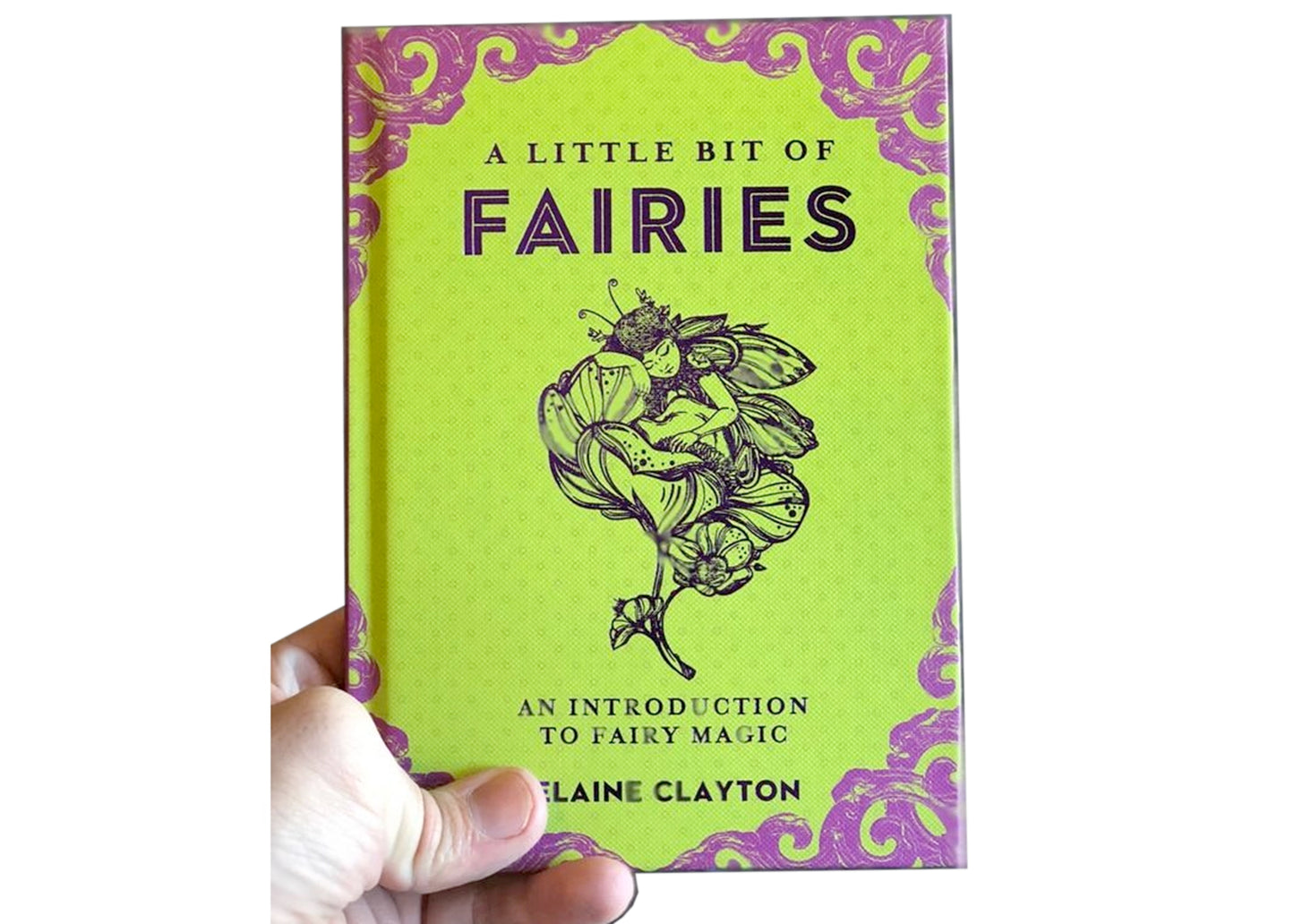 A Little Bit of Fairies: An Introduction to Fairy Magic Book