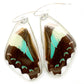 Bluebottle Butterfly Lower Wing Earrings