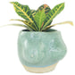 Large Boobie Planter in Jade