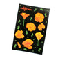 California Poppy Postcard