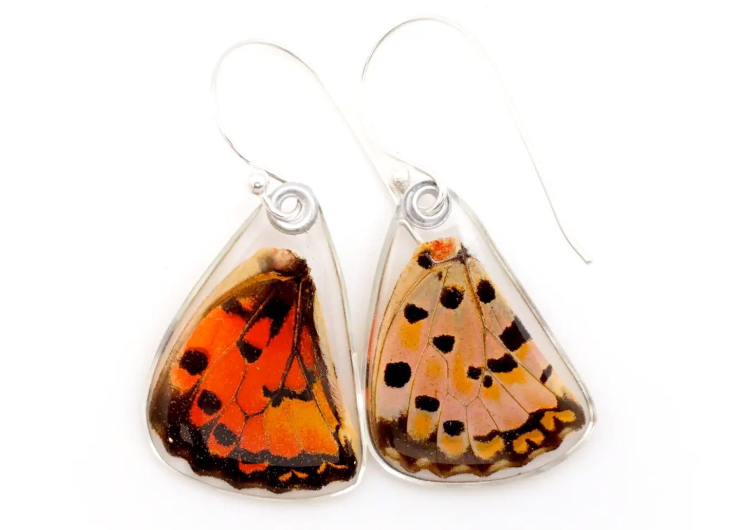 Red Spotted Graphium Lower Wing Butterfly Earrings