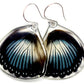 Scarce Blue Diadem Lower Wing Butterfly Earrings