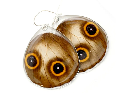 Taenaris Urania Lower Wing Butterfly Earrings