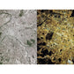 Timelapse: How We Change the Earth Book